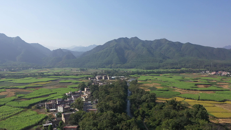 已编辑图片