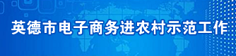 英德市电子商务进农村示范工作