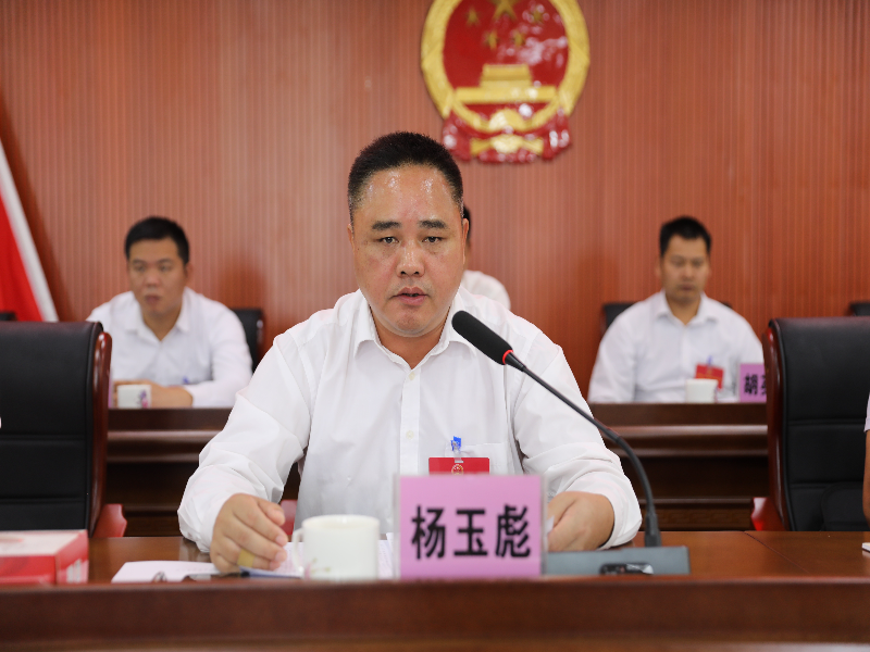 5.白沙镇党委书记杨玉彪作强调讲话.jpg