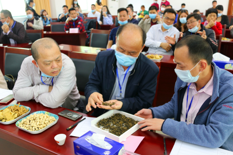 点评茶叶.JPG