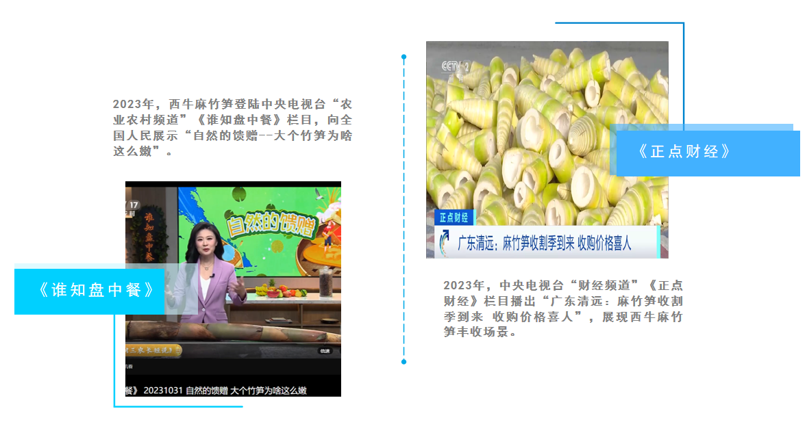 图5 报道.png