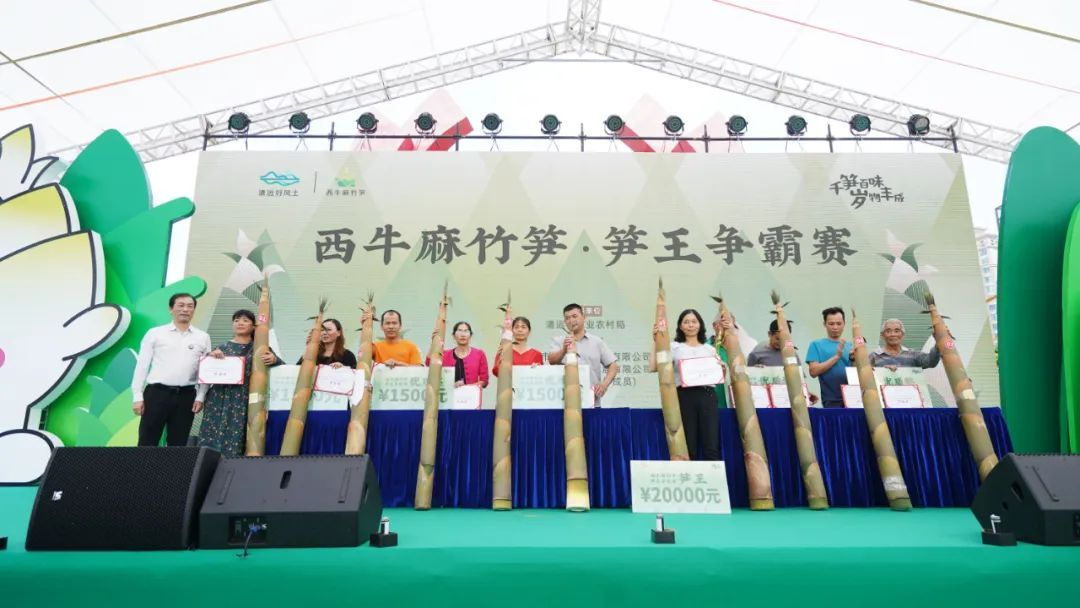 图6 笋王争霸.png
