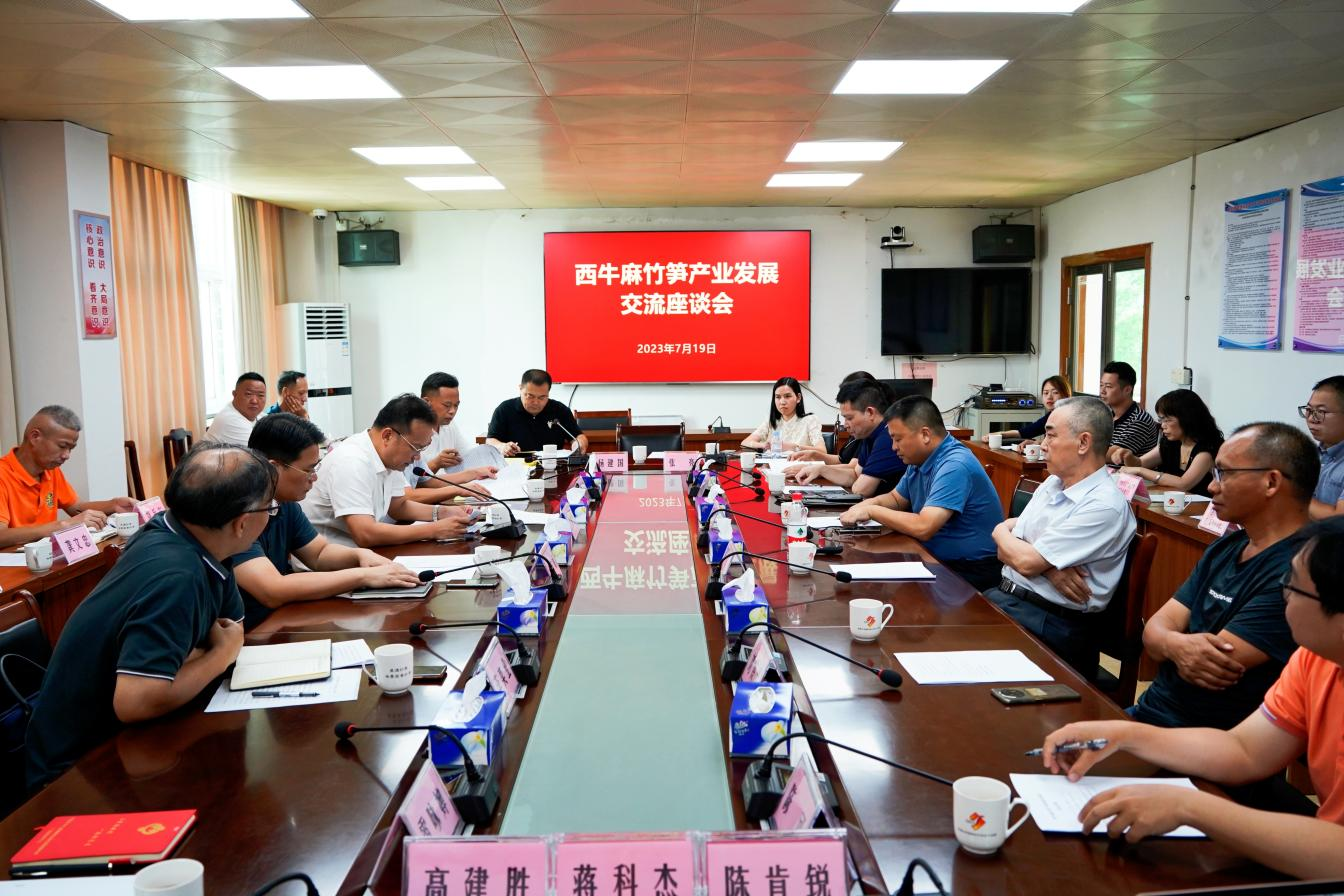 图7 产业发展交流座谈会.png