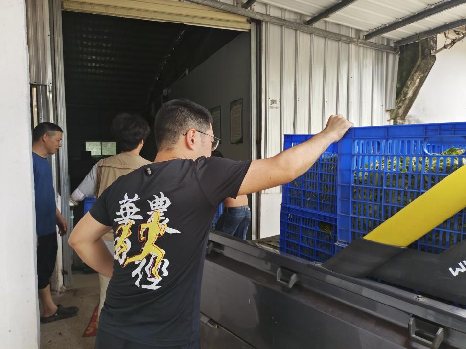 0726(办公室核)姹紫“英红——”华南农业大学“下田间地头,兴百万茗茶”突击队.docx_14