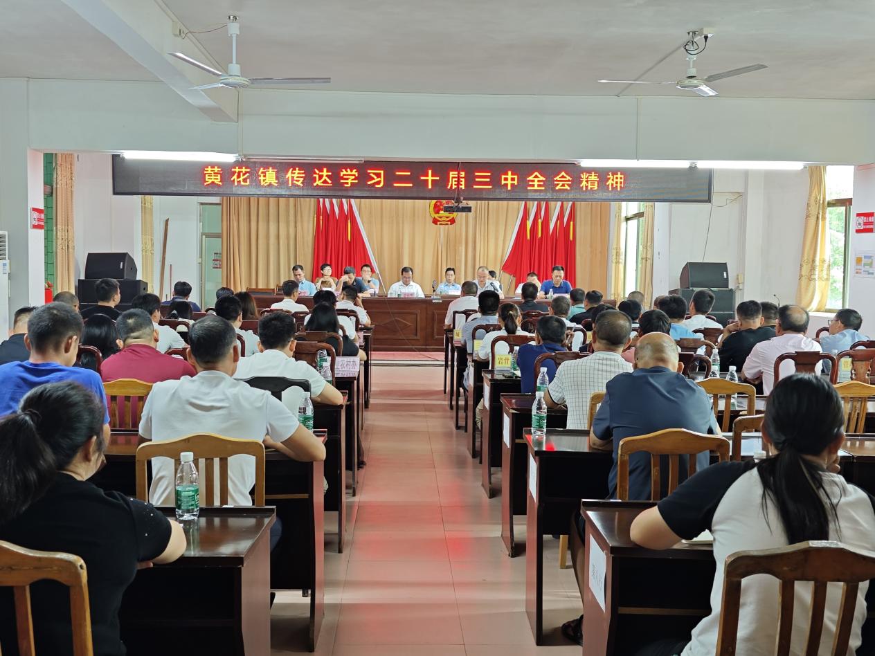 领悟全会精神，凝聚奋进伟力——黄花镇深入学习宣传贯彻党的二十届三中全会精神