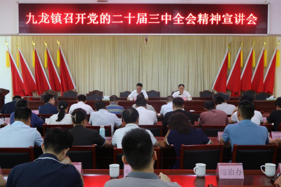 九龙镇召开党的二十届三中全会精神宣讲会