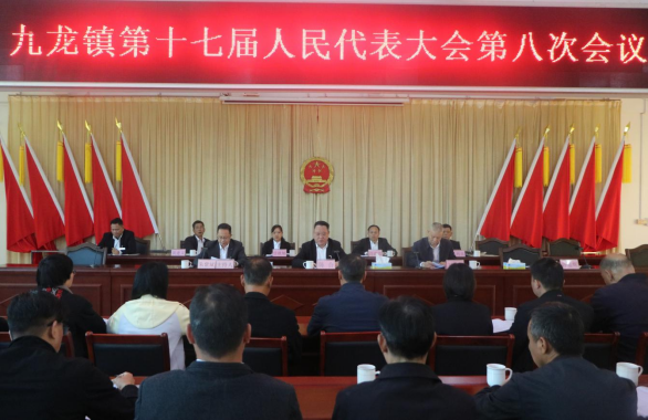 九龙镇第十七届人民代表大会第八次会议胜利召开