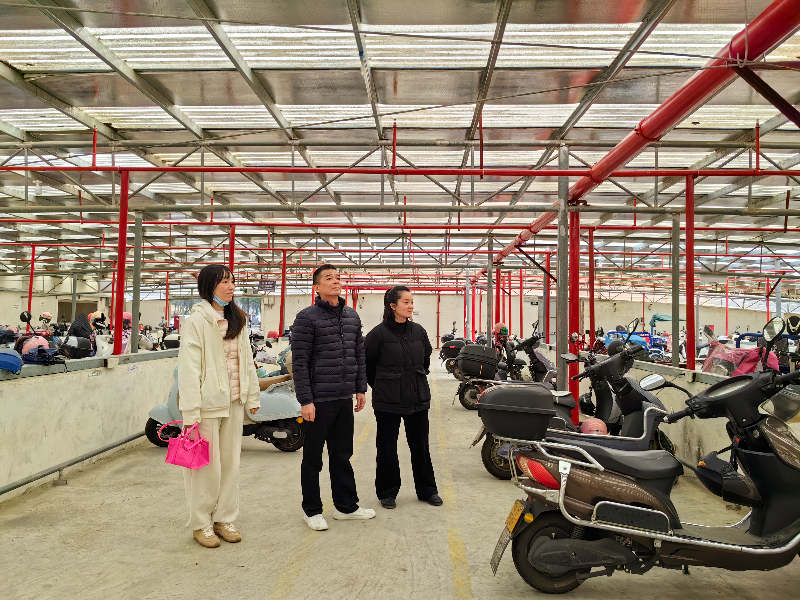 IMG_20241227_110703(1).jpg