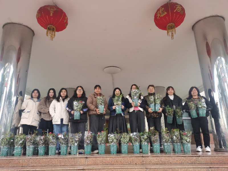 绿植.jpg