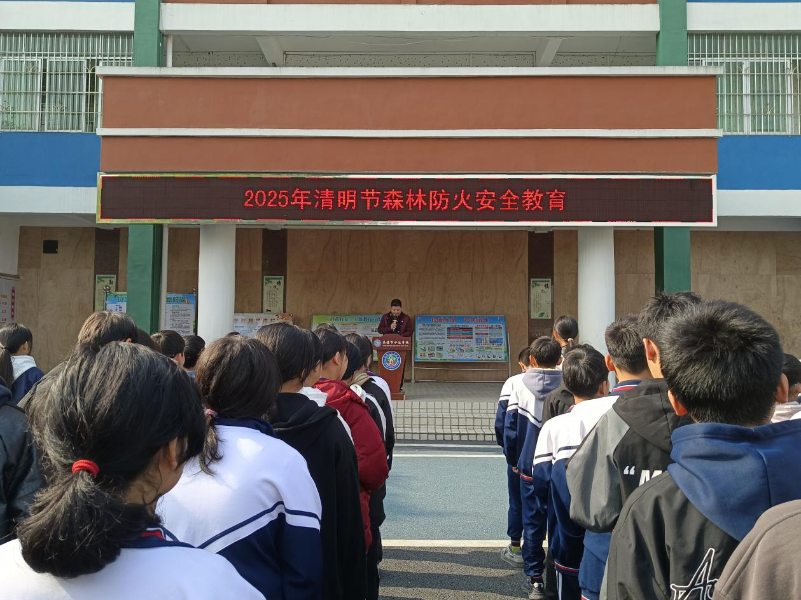 活动现场图 图片 1.png