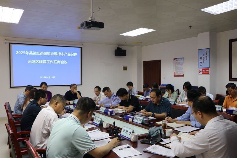 会议现场.JPG