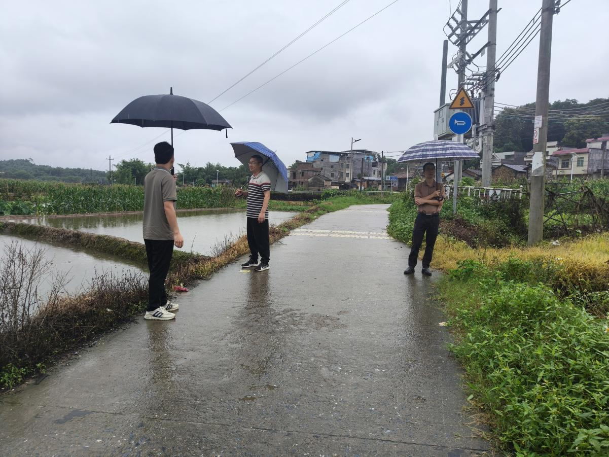 镇党委副书记、镇长刘少波视察农田受灾情况.png
