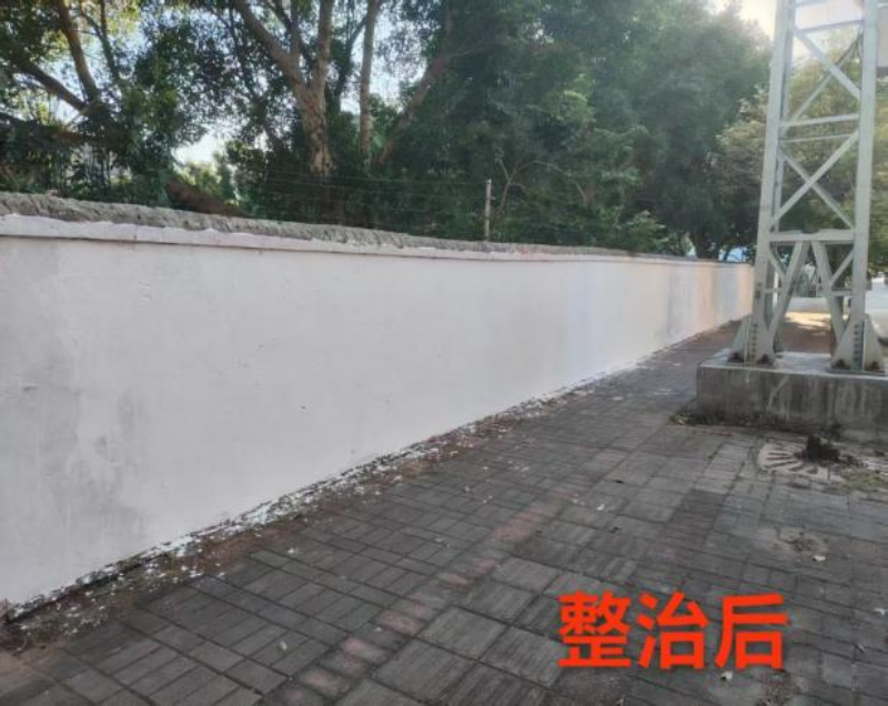 图片31.png