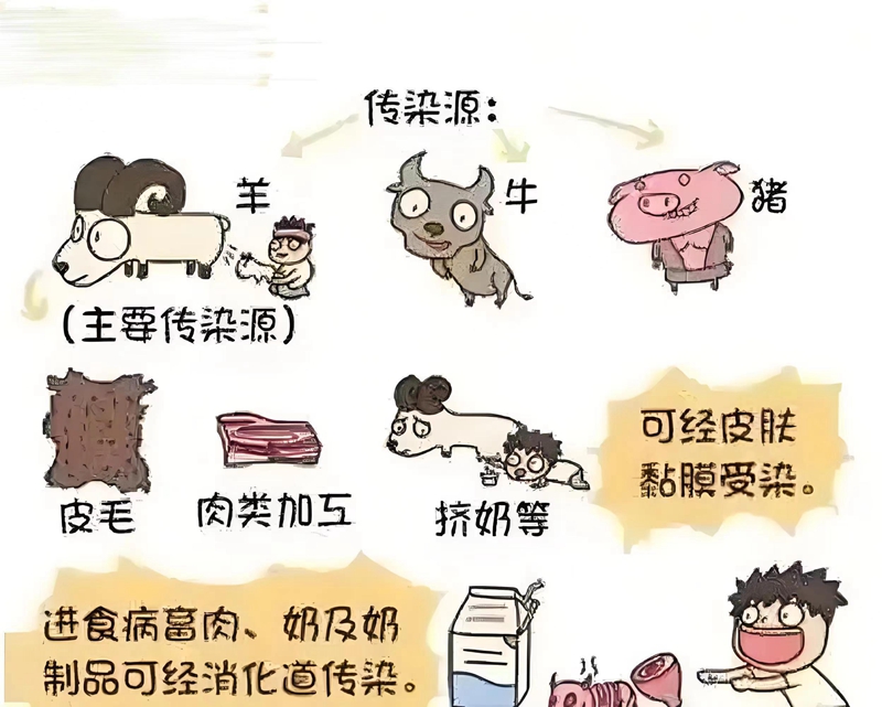 图片5.jpg