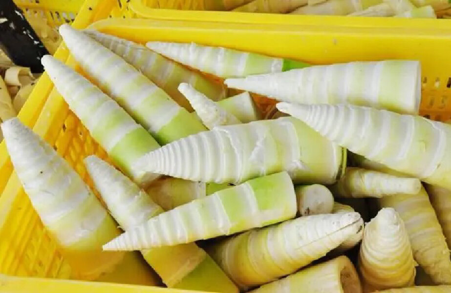 英德市：西牛麻竹笋创百亿农业产业.docx_2