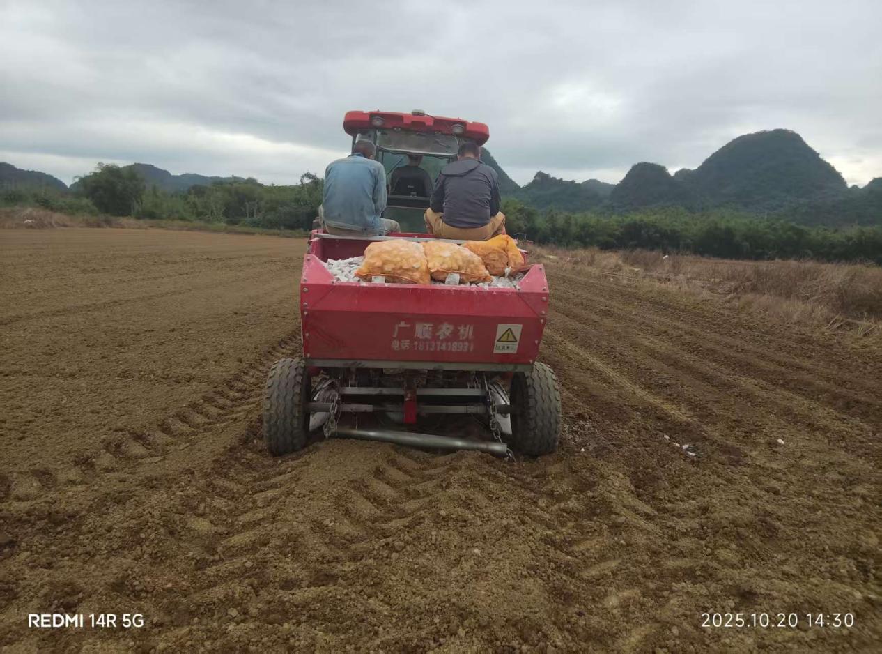 20260113英德冬种马铃薯取得新成效.docx_2