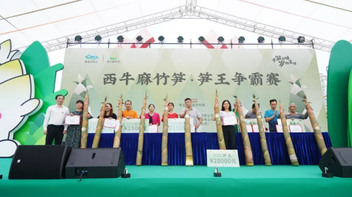 西牛镇3号麻竹笋获得“笋王”称号.png