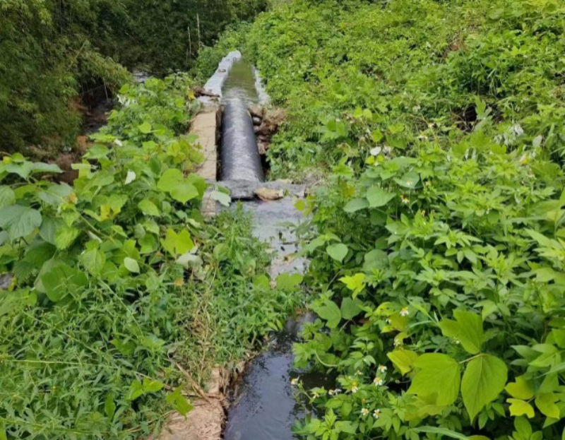 灯塔村石颈水渠修复前。通讯员 供图 灯塔村石颈水渠修复前。通讯员 供图
