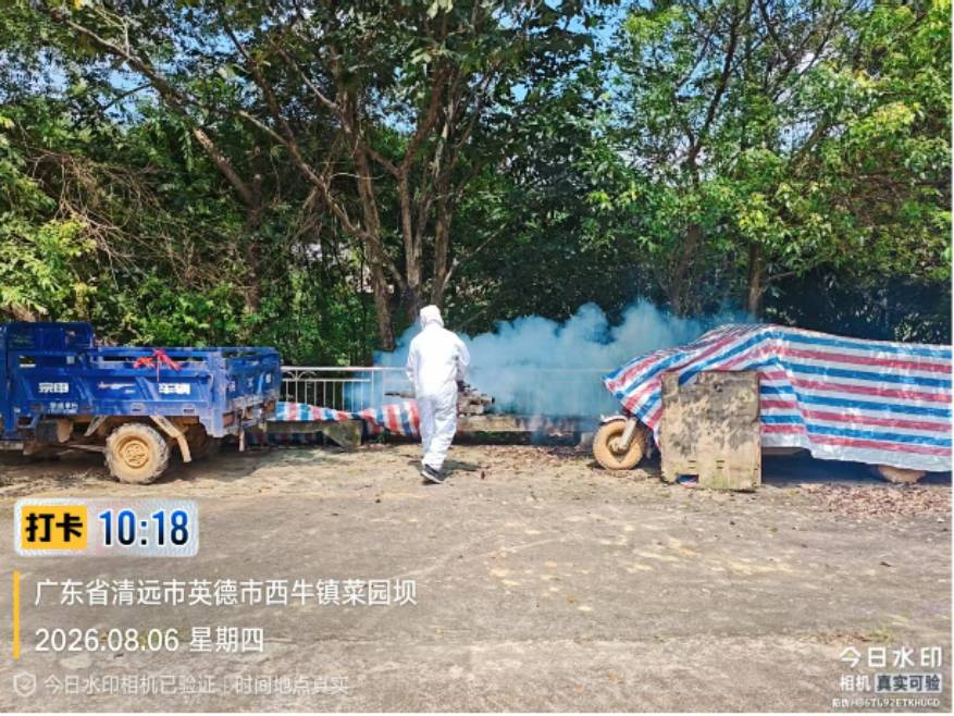 已编辑图片