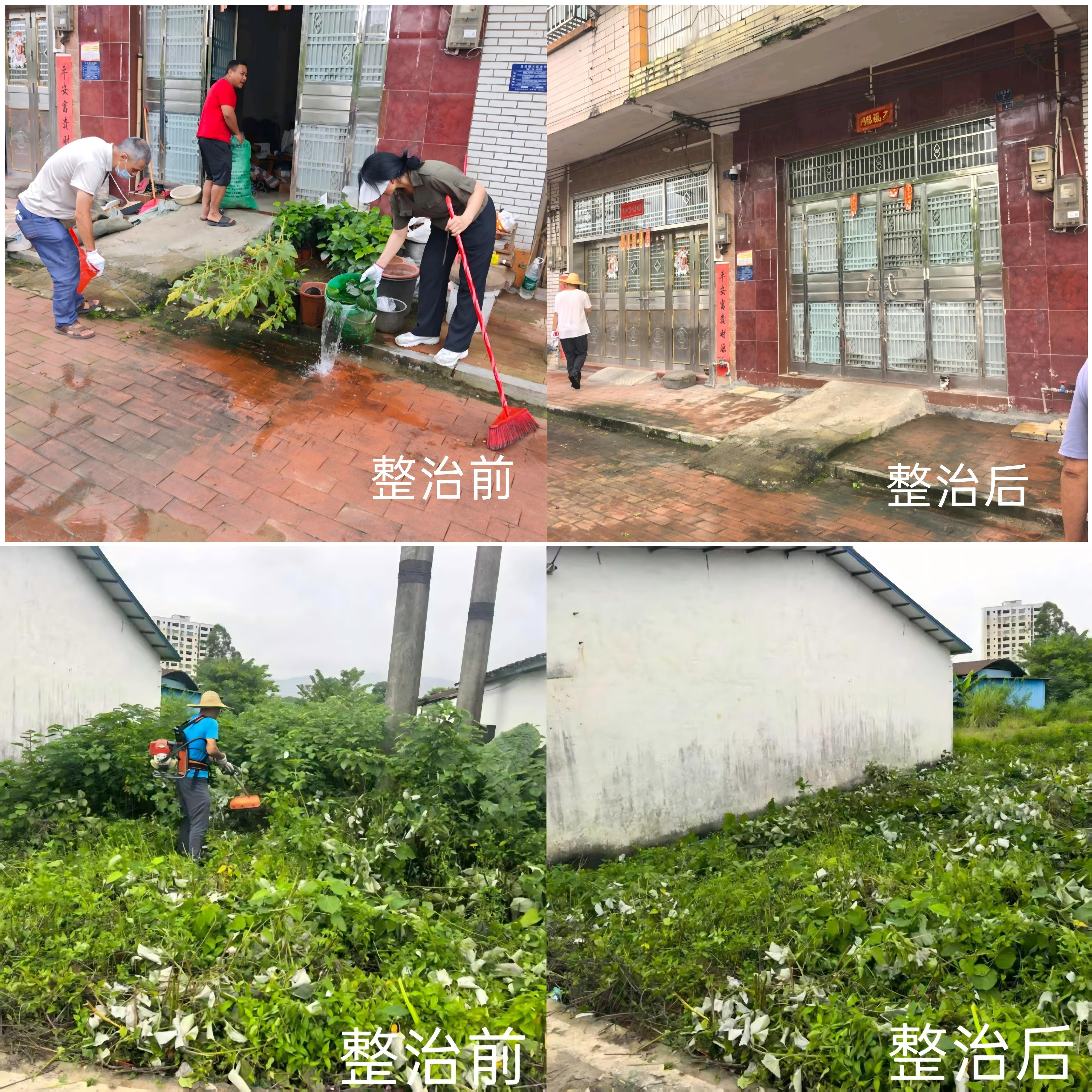 1.浛洸镇开展“清积水、灭蚊虫”爱国卫生运动.jpg