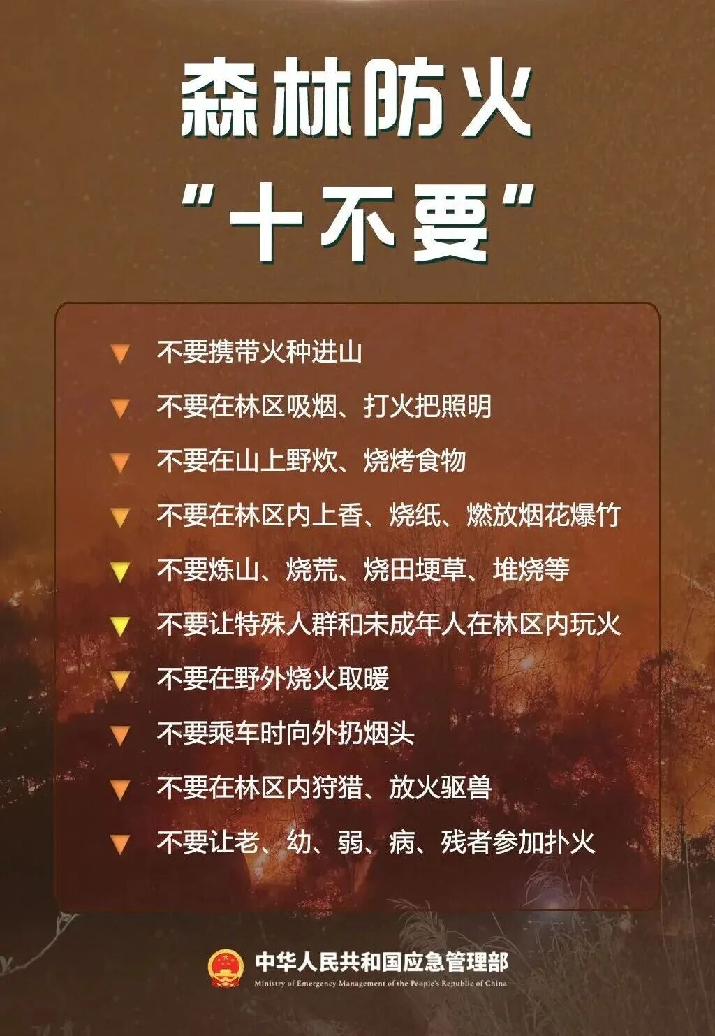 12409728013130990860.jpg