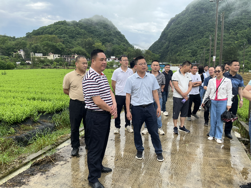 参观学习蔬菜基地.jpg