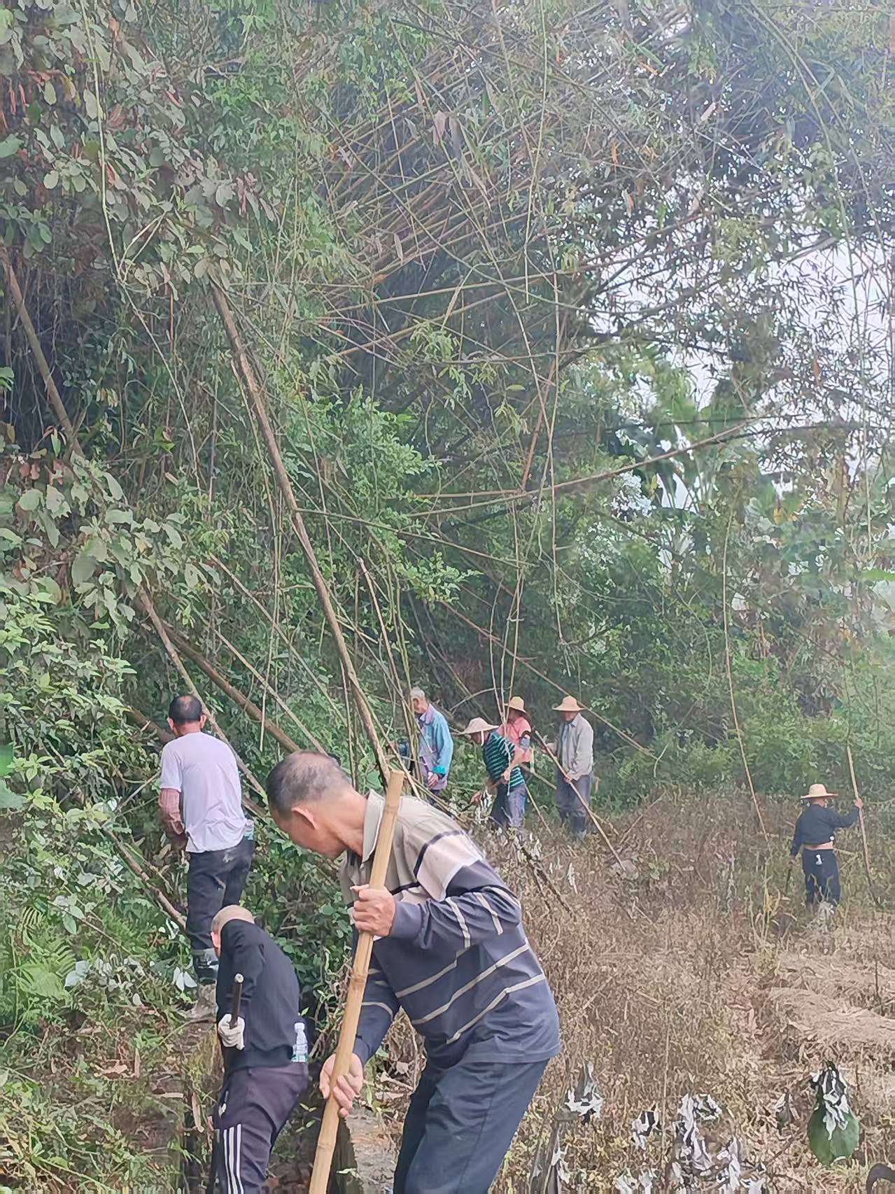 4大湾镇上洞村党总支部引领群众修渠引水治理撂荒耕地（上洞村委供图）.jpg