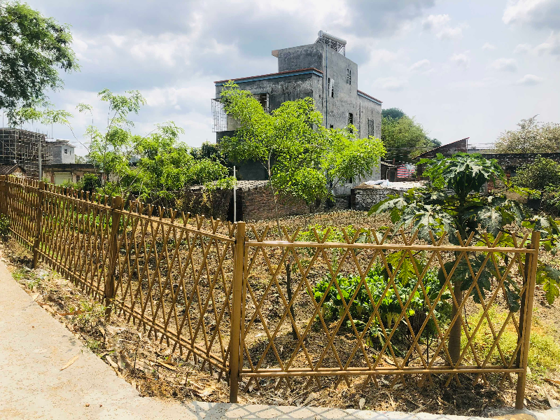 5.浛洸镇张陂村建成后的四小园.jpg