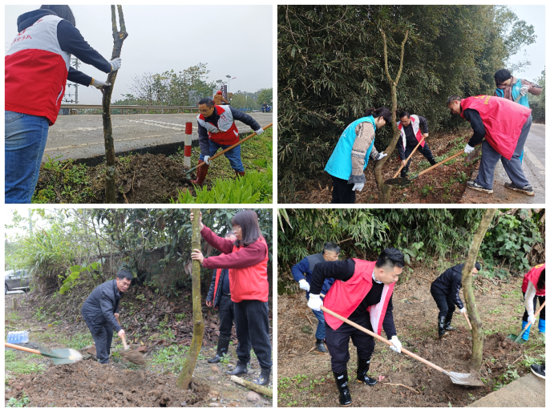 班子成员带领志愿者植树.jpg