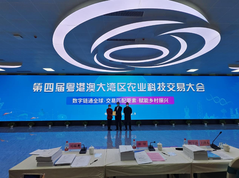 图片33.png