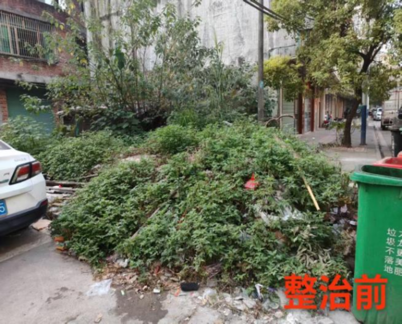 图片24.png