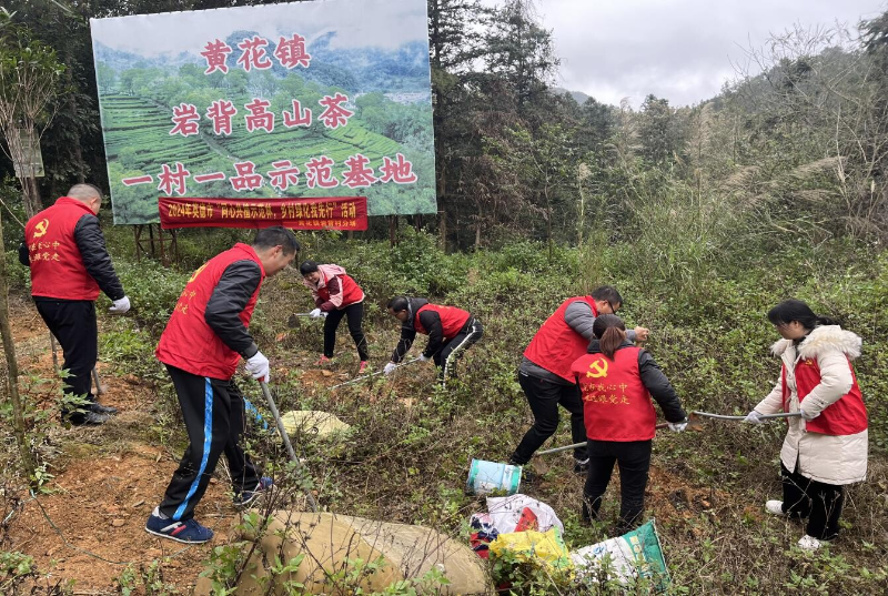 (可挂网）强富绿美新英德  做到“四统一”！市教育系统为“乡村绿化”添色增彩.docx_2