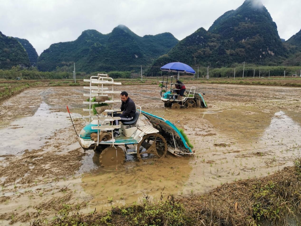 英德市2024年春耕生产现场会在九龙镇寨背村召开.docx_6