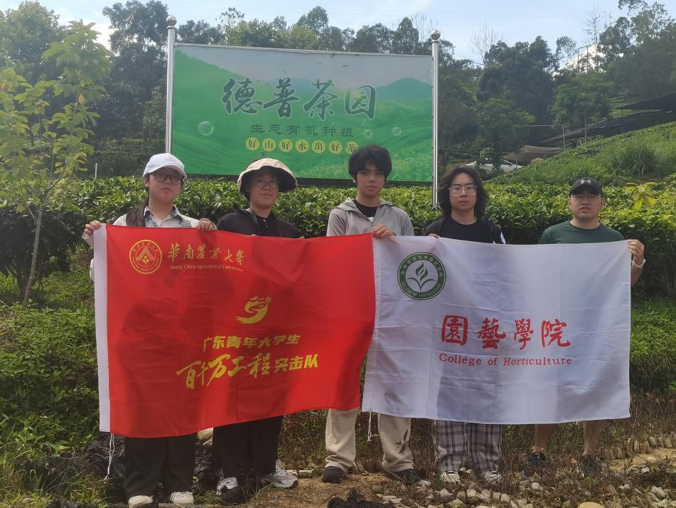 0726（办公室核）姹紫“英红——”华南农业大学“下田间地头，兴百万茗茶”突击队.docx_8