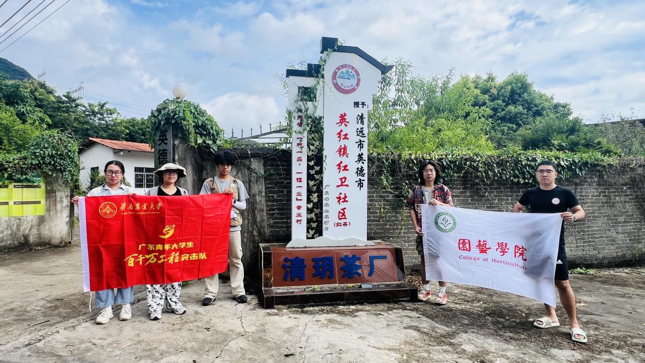 0726（办公室核）姹紫“英红——”华南农业大学“下田间地头，兴百万茗茶”突击队.docx_16