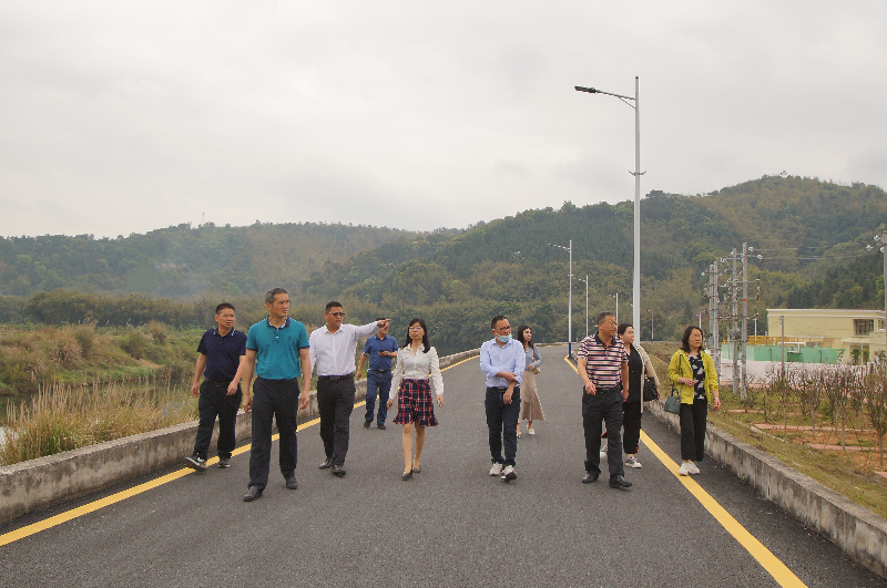图1：清远市水利局副局长蔡科友等一行在参观水边镇区防洪堤.jpg