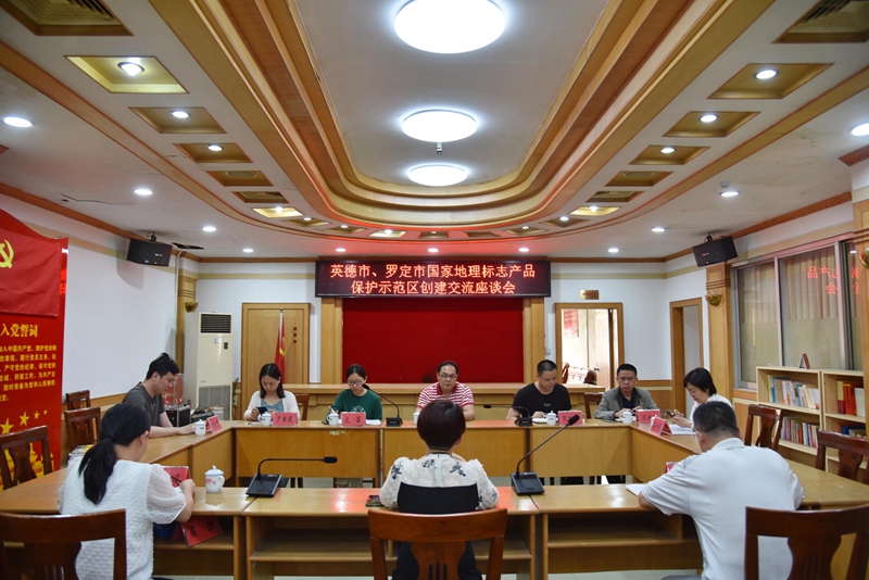 罗定市座谈会现场.jpg