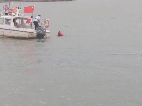 图片5.jpg